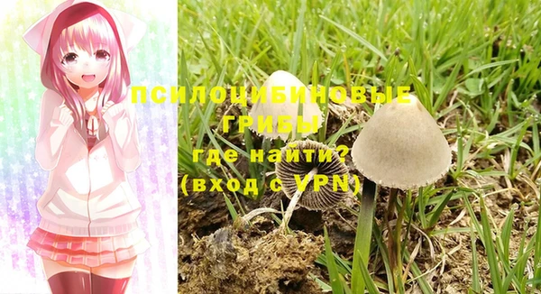 стафф Балахна